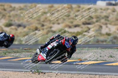 media/Apr-07-2024-CVMA (Sun) [[53b4d90ad0]]/Race 2 Supersport Middleweight/